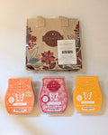Scentsy Fall Wax Bundle #1